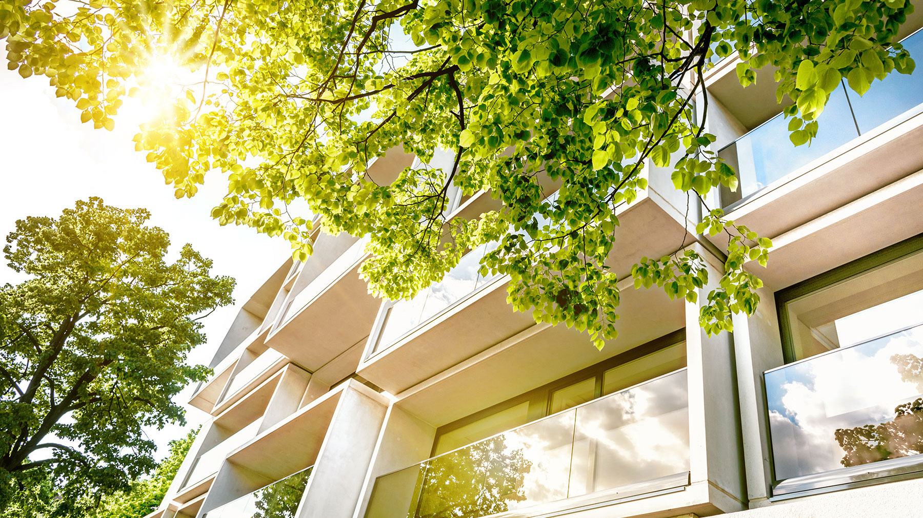 The Mission Wells Association cover